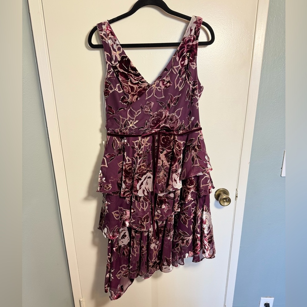 Marchesa Notte Floral Velvet Burnout A-Line Dress Size 12